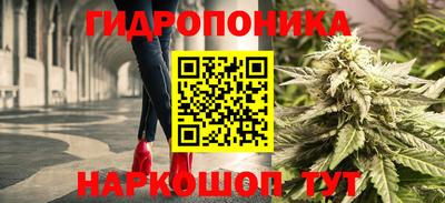 прущие крисы Жуковский