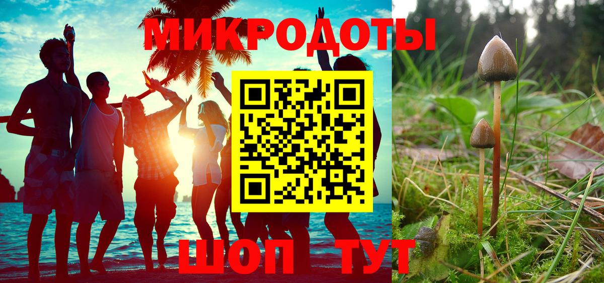 Галлюциногенные грибы GOLDEN TEACHER  Вход с VPN  Галлюциногенные грибы MAGIC MUSHROOMS  Назрань 