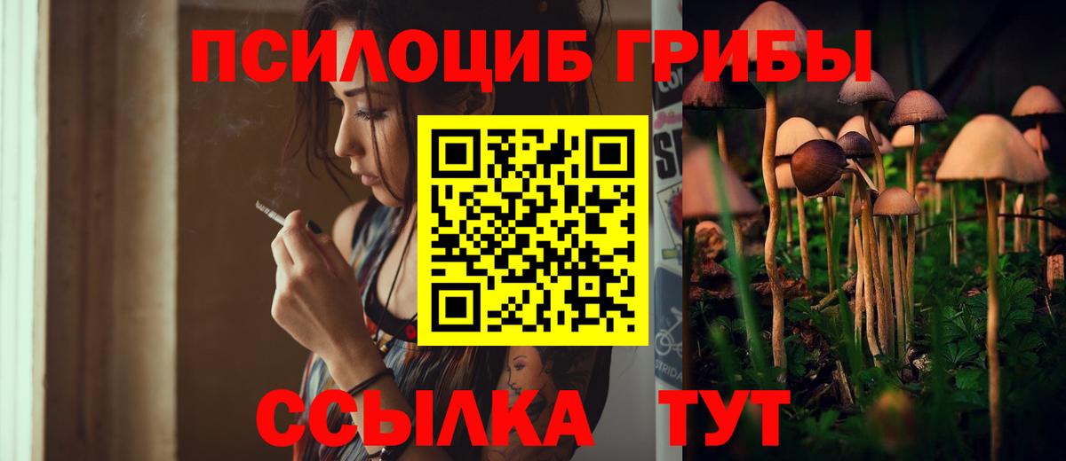 Галлюциногенные грибы GOLDEN TEACHER Назрань